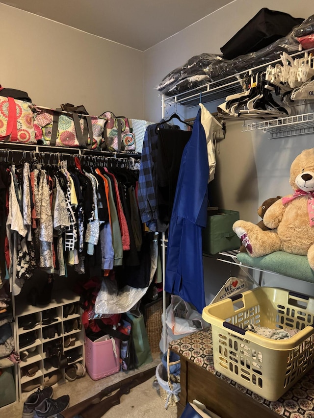 101 Cobblers Glen Ct, Lexington, SC 29072 - view of walk in closet