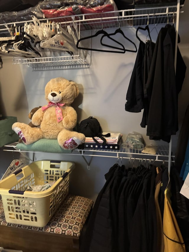 101 Cobblers Glen Ct, Lexington, SC 29072 - view of walk in closet