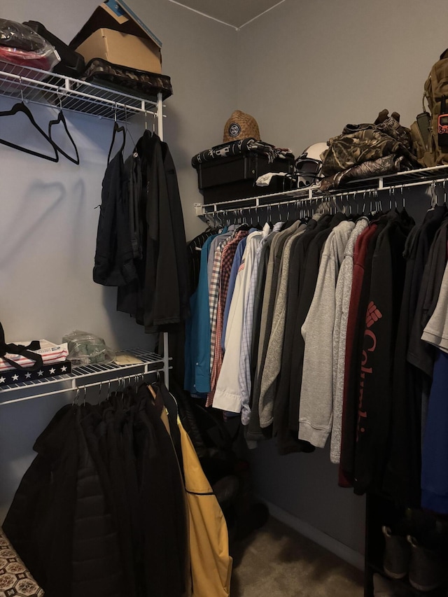 101 Cobblers Glen Ct, Lexington, SC 29072 - spacious closet featuring carpet floors