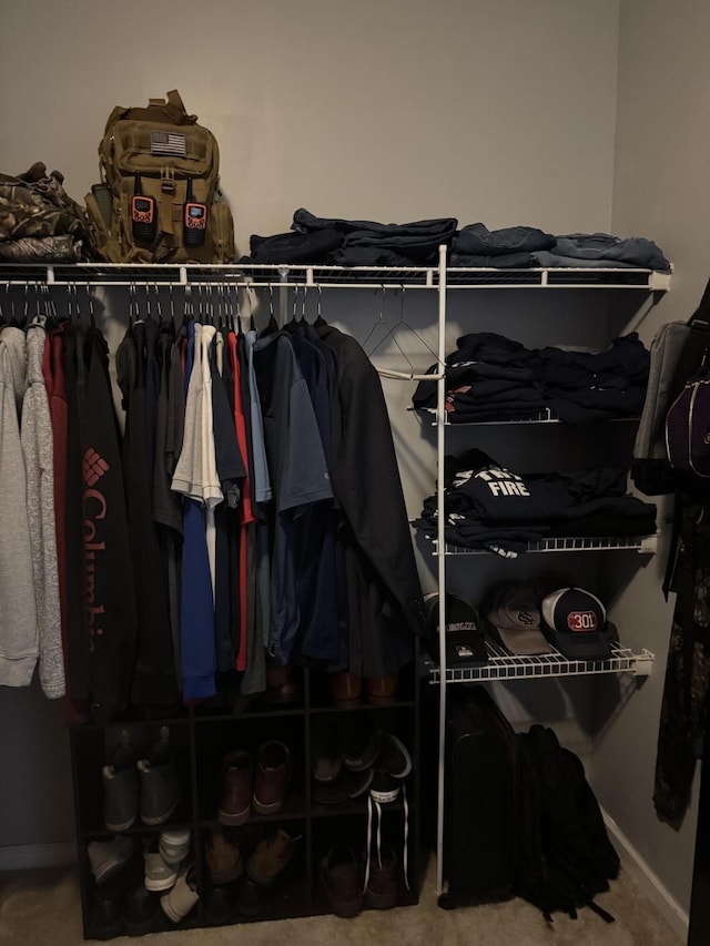 101 Cobblers Glen Ct, Lexington, SC 29072 - walk in closet featuring carpet flooring
