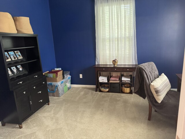101 Cobblers Glen Ct, Lexington, SC 29072 - interior space with baseboards and carpet flooring