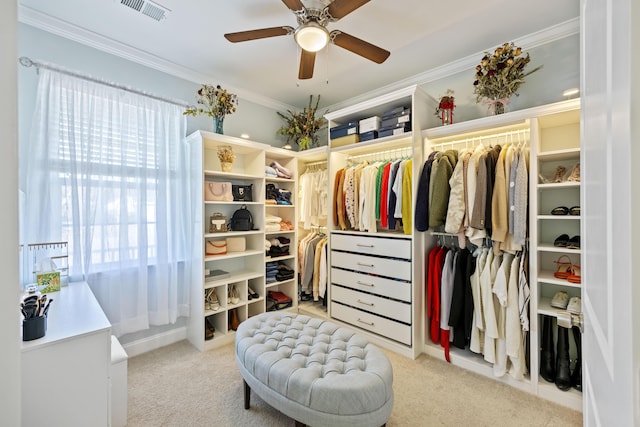 walk in closet with ceiling fan and light carpet