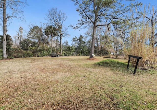222 E Main St, Moncks Corner, SC 29461 - view of grassy yard