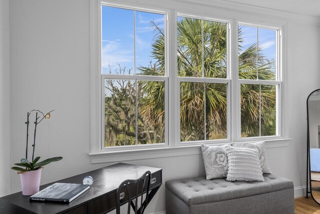 228 Beresford Creek St, Charleston, SC 29492 - living area with healthy amount of natural light and wood finished floors