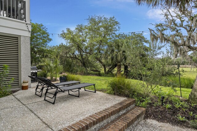 228 Beresford Creek St, Charleston, SC 29492 - view of patio / terrace