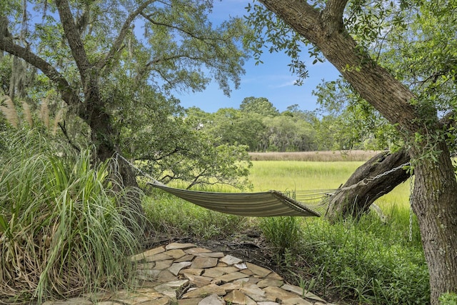228 Beresford Creek St, Charleston, SC 29492 - view of yard
