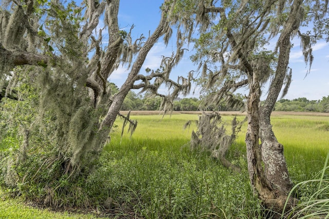 228 Beresford Creek St, Charleston, SC 29492 - view of local wilderness