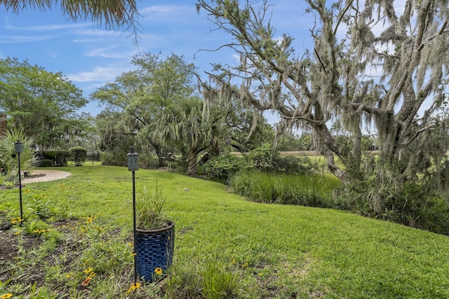 228 Beresford Creek St, Charleston, SC 29492 - view of grassy yard