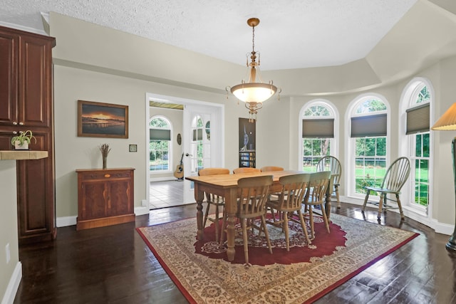 2494 Cape Rd, Johns Island, SC 29455 - dining space with healthy amount of natural light, dark wood-style flooring, and a textured ceiling