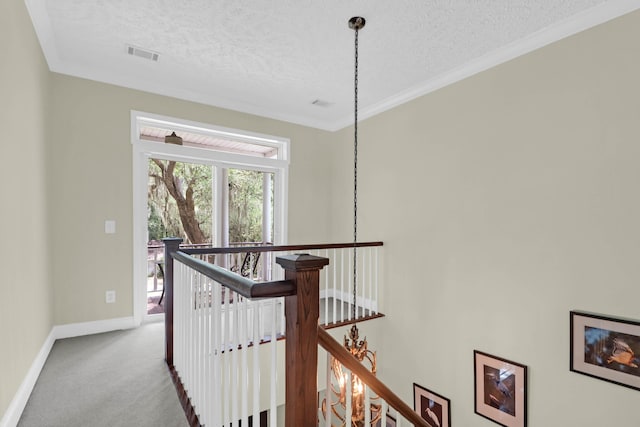 2494 Cape Rd, Johns Island, SC 29455 - hallway with a textured ceiling, an upstairs landing, carpet flooring, and ornamental molding
