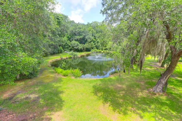 2494 Cape Rd, Johns Island, SC 29455 - water view featuring a forest