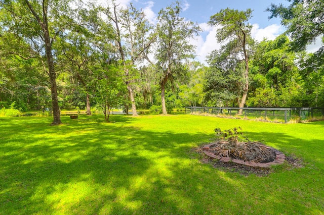 2494 Cape Rd, Johns Island, SC 29455 - view of yard