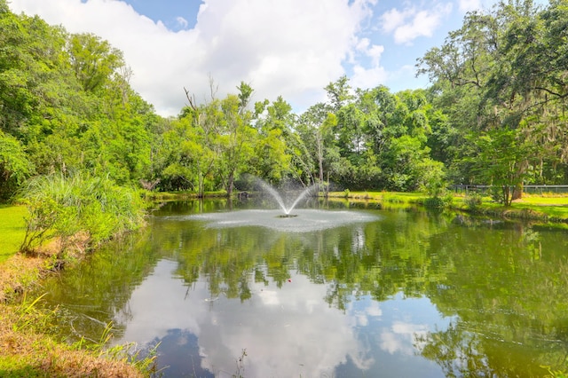 2494 Cape Rd, Johns Island, SC 29455 - water view with a forest