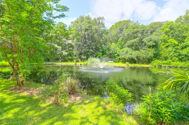 2494 Cape Rd, Johns Island, SC 29455 - water view with a forest