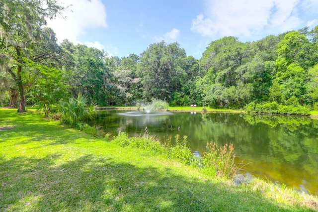 2494 Cape Rd, Johns Island, SC 29455 - water view with a heavily wooded area