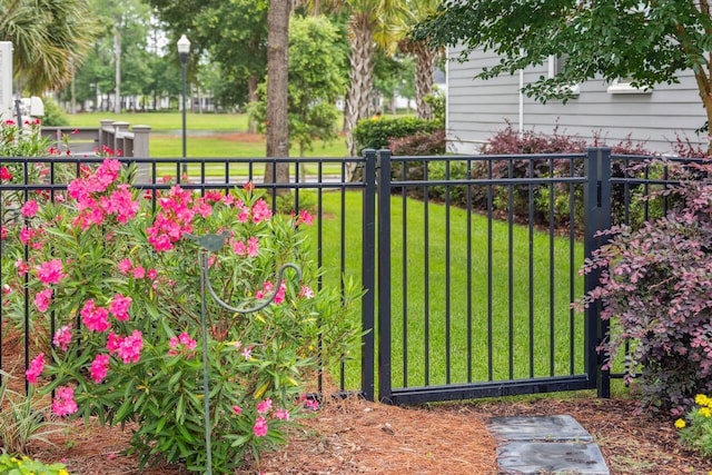 1903 Bolden Dr, Mount Pleasant, SC 29466 - view of gate