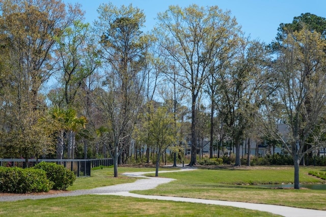 1903 Bolden Dr, Mount Pleasant, SC 29466 - view of home's community featuring a yard