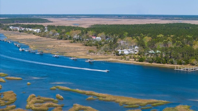1903 Bolden Dr, Mount Pleasant, SC 29466 - aerial view of a large body of water and a heavily wooded area
