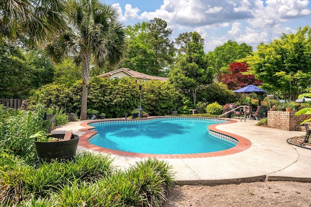 outdoor pool with a patio area and view of scattered trees