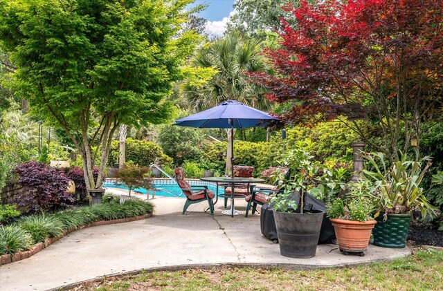view of patio with an outdoor pool