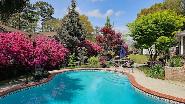 view of swimming pool with a patio