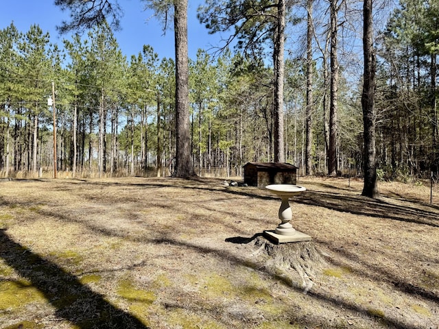 view of yard featuring a wooded view