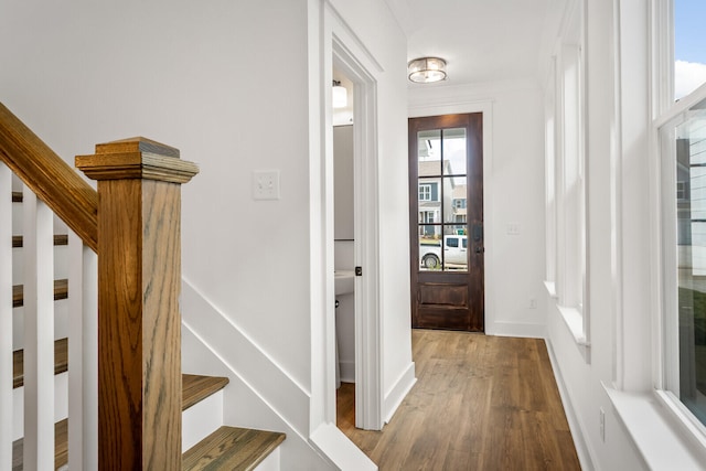 foyer entrance featuring wood-type flooring