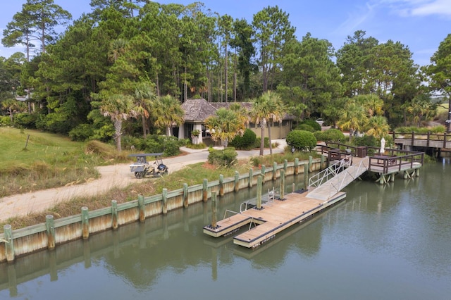 6002 Green Dolphin Way, Kiawah Island, SC 29455 - dock area featuring a water view and view of scattered trees
