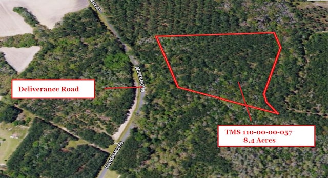 0 Deliverance Rd, Ruffin SC, 29475 land for sale