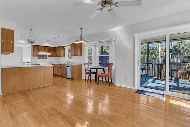 kitchen with light wood finished floors, light countertops, brown cabinetry, a sink, and white appliances