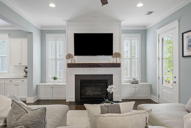 living room featuring crown molding, a large fireplace, and dark wood-type flooring