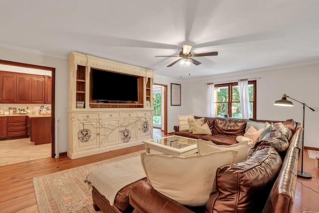 living room with ceiling fan, light hardwood / wood-style floors, and crown molding