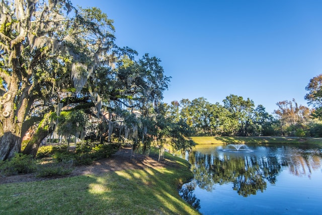 property view of water