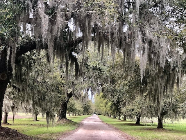 view of community featuring a view of trees and a lawn