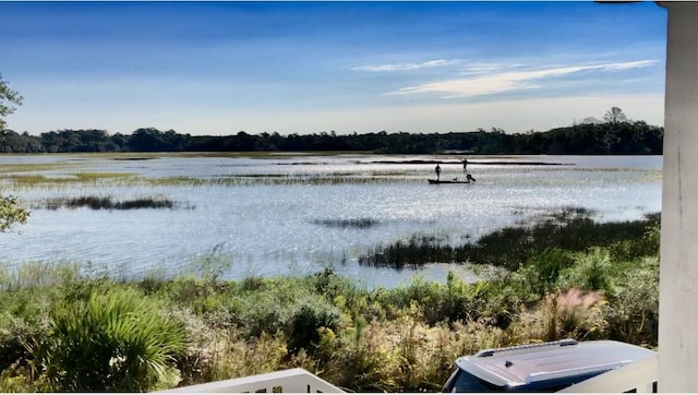 property view of water