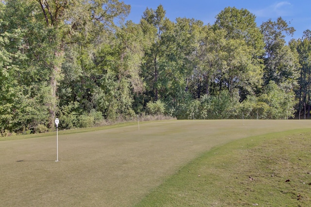 4227 Sawgrass Dr, North Charleston, SC 29420 - view of community featuring a putting area and golf course view