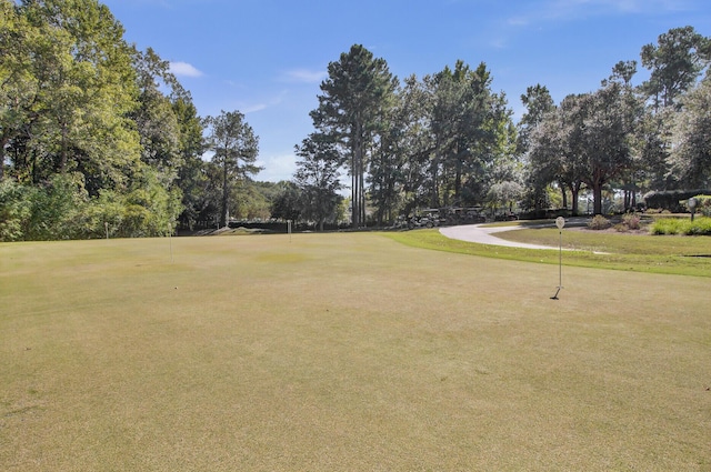 4227 Sawgrass Dr, North Charleston, SC 29420 - view of community featuring view of scattered trees and a putting green