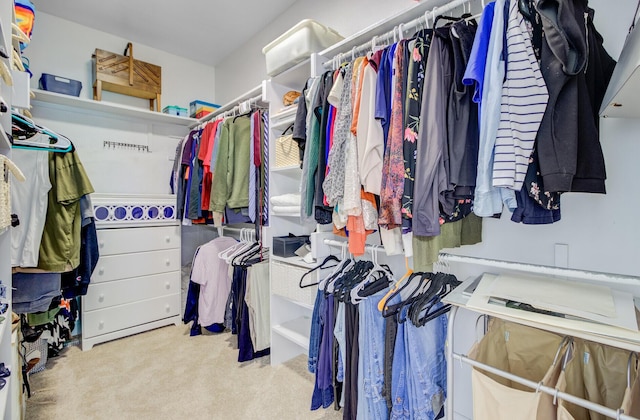 4227 Sawgrass Dr, North Charleston, SC 29420 - walk in closet with carpet
