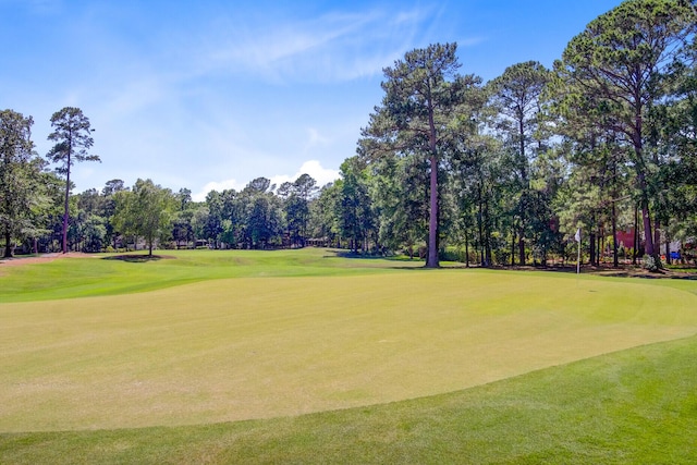 4227 Sawgrass Dr, North Charleston, SC 29420 - view of community featuring view of scattered trees, golf course view, and a yard