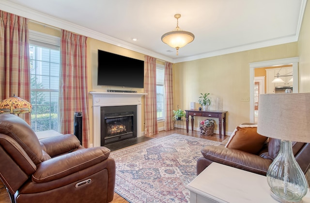 living room featuring hardwood / wood-style flooring and crown molding