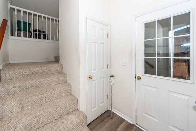 staircase with hardwood / wood-style flooring