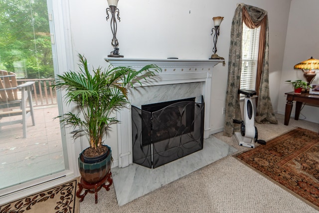 details with carpet floors and a premium fireplace