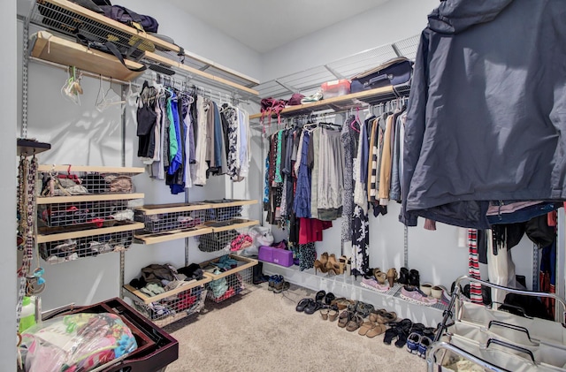spacious closet with carpet floors