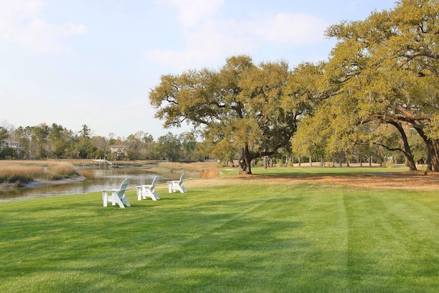 view of yard featuring a water view