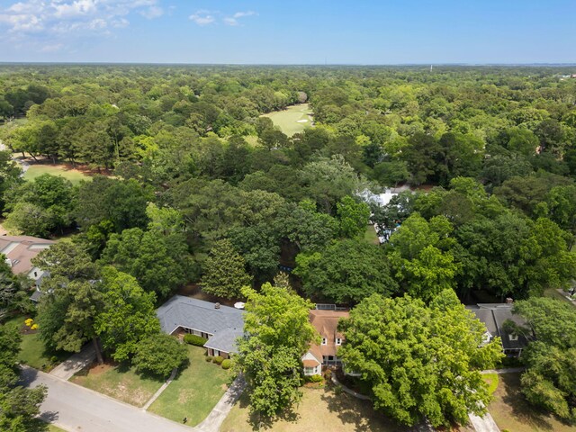 1019 Royalist Rd, Mount Pleasant, SC 29464 - aerial view of a forest