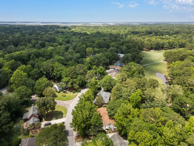 1019 Royalist Rd, Mount Pleasant, SC 29464 - aerial view of a heavily wooded area