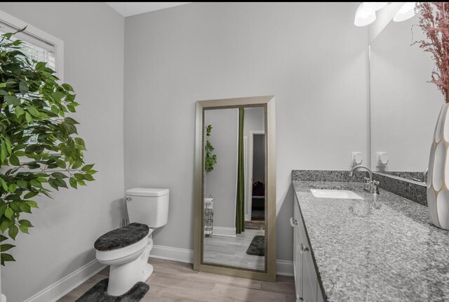 bathroom featuring vanity, wood-type flooring, and toilet