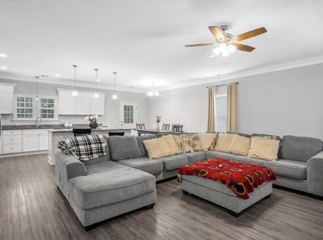 living room with ornamental molding, ceiling fan with notable chandelier, sink, and dark wood-type flooring