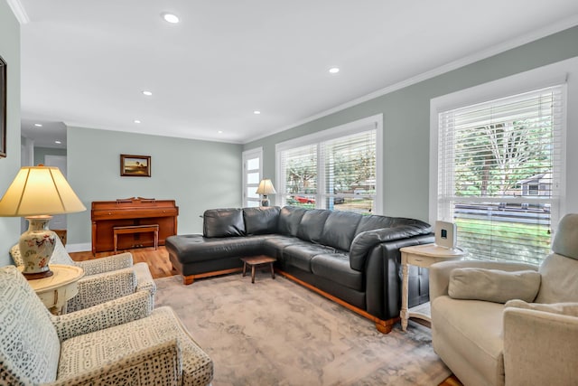 1416 Glencoe Dr, Mount Pleasant, SC 29464 - living area with crown molding, recessed lighting, and light wood finished floors
