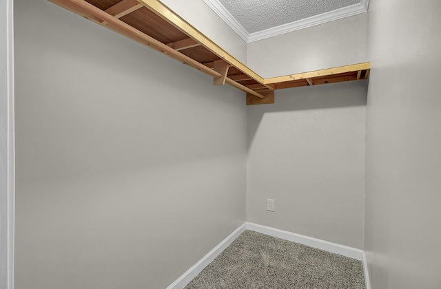 walk in closet featuring carpet floors